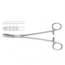 Bircher-Ganske Catrilage Seizing Forcep Curved Upwards Stainless Steel, 20.5 cm - 8"